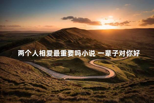 两个人相爱最重要吗小说 一辈子对你好小说